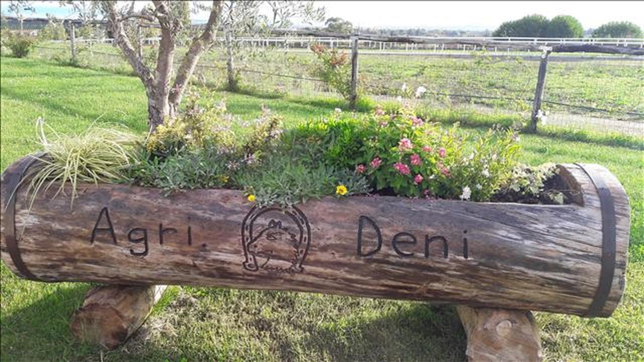 CenaiaAgriturismo Deni公寓 外观 照片